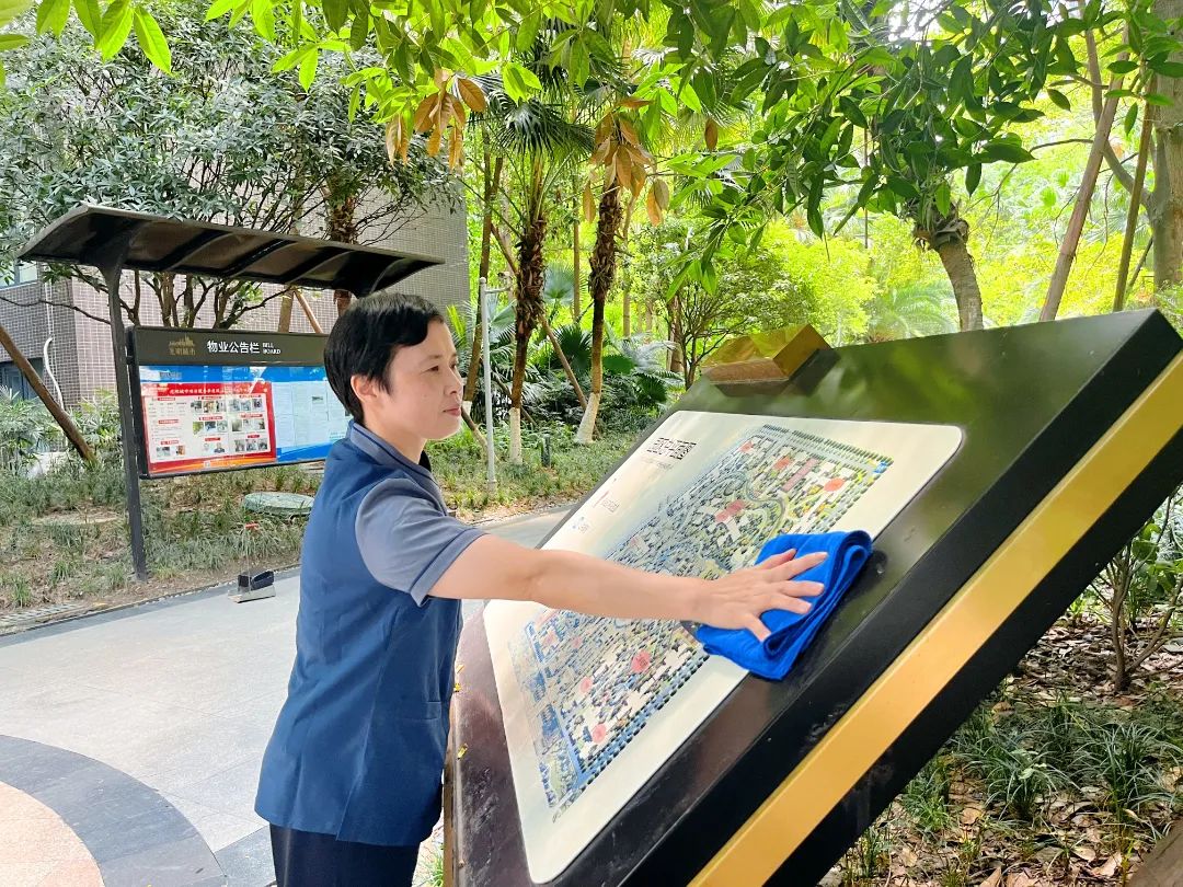 光明城市 (1).jpg 圖片